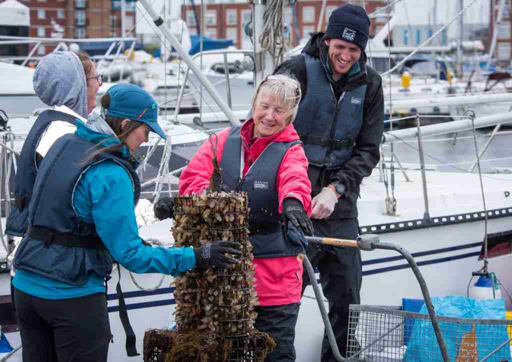The Stronger Shores project in South Tyneside is establishing oyster reefs to boost coastal resilience. Photo credit: Stronger Shores